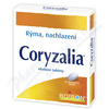 Coryzalia tbl.obd.40