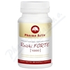 Reishi FORTE 1000 cps.90