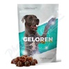 Geloren dog L-XL kloubní výživa tbl. 60
