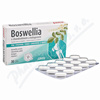 Favea Boswellia s chondroitinem a kolagenem tbl.30